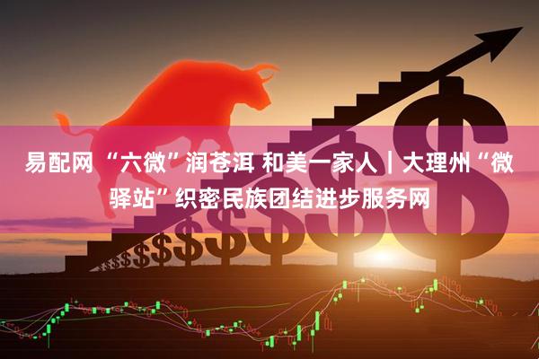 易配網 “六微”潤蒼洱 和美一家人｜大理州“微驛站”織密民族團結進步服務網